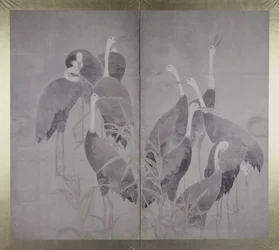 Once grullas hembras de pie en un lecho de juncos secos, c.1700-50